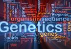 Genetics and Body Building